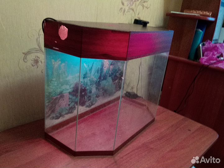 Аквариум