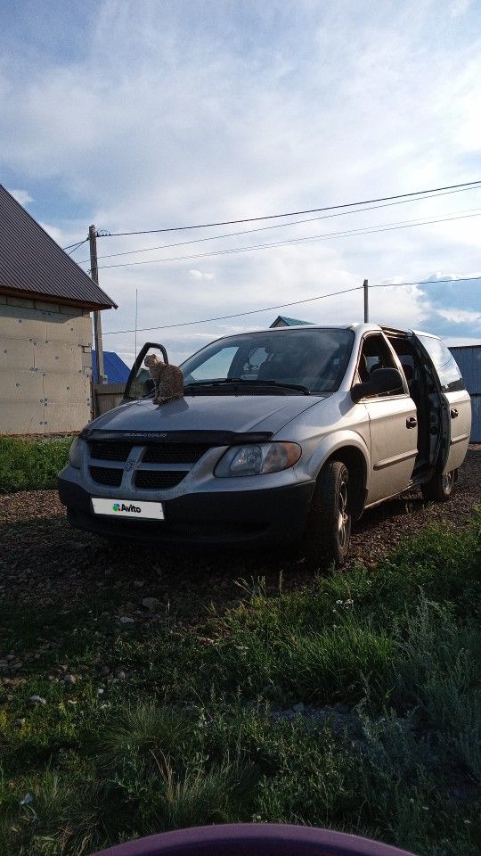 Dodge Caravan: фото владельца