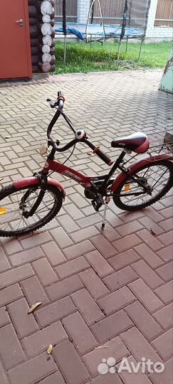 Сафари профи