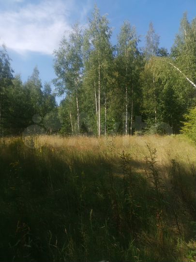 Участок 11 сот. (СНТ, ДНП)