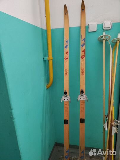 Беговые лыжи