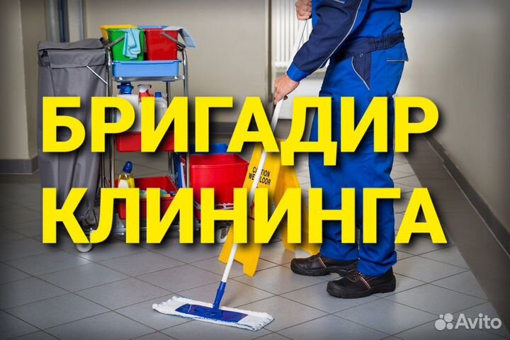 Бригадир по клинингу