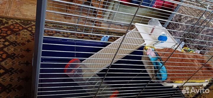 Клетка для хорьков/шиншил/кроликов/свинок