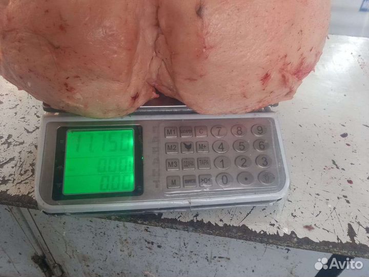 Курдюк сырой
