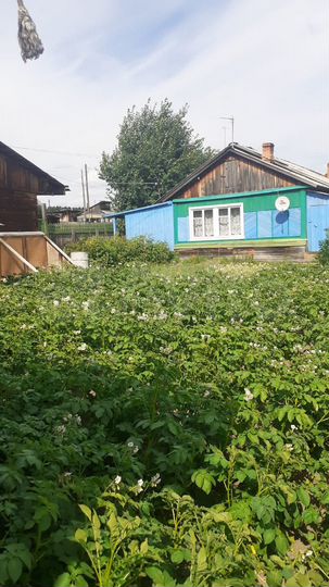 Дом 80 м² на участке 10 сот.
