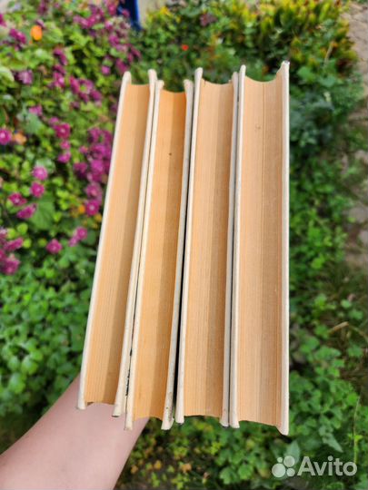 Серия книг Роберта Говарда. Конан-варвар