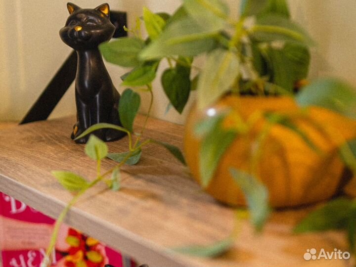 Модульный дом для глэмпинга