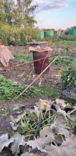 Участок 5 сот. (СНТ, ДНП)
