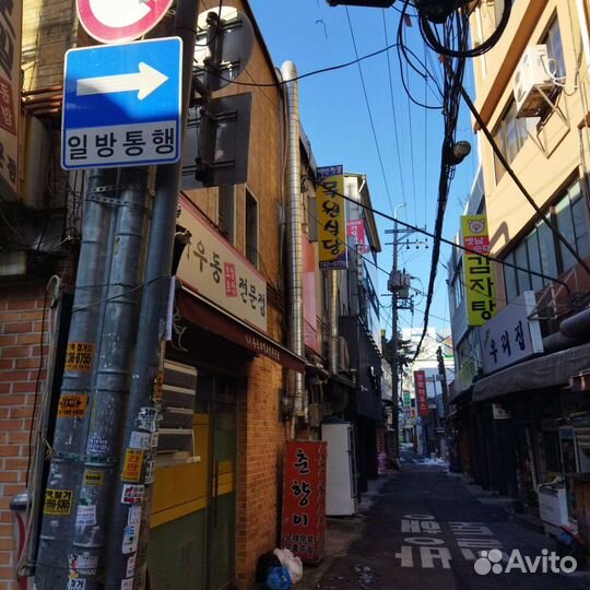 Репетитор корейского языка