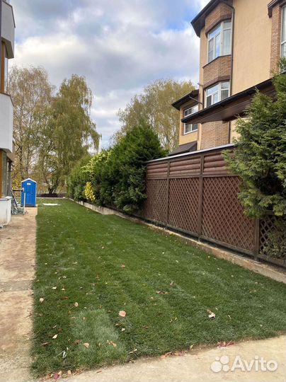 Рулонный газон 