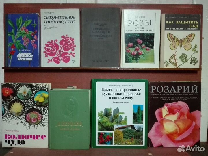 Книги по лесному хозяйству дендрологии энтомологии