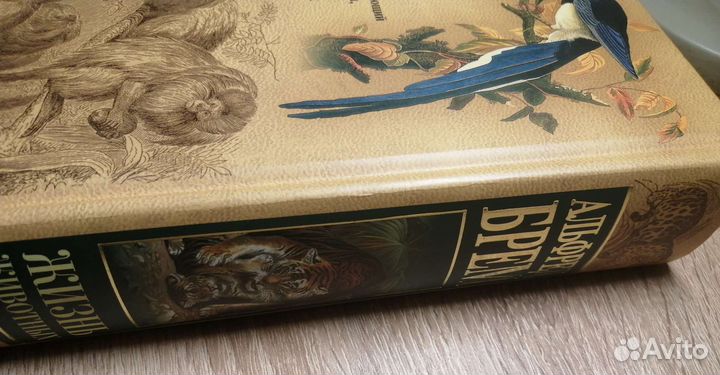 Брем. Жизнь животных