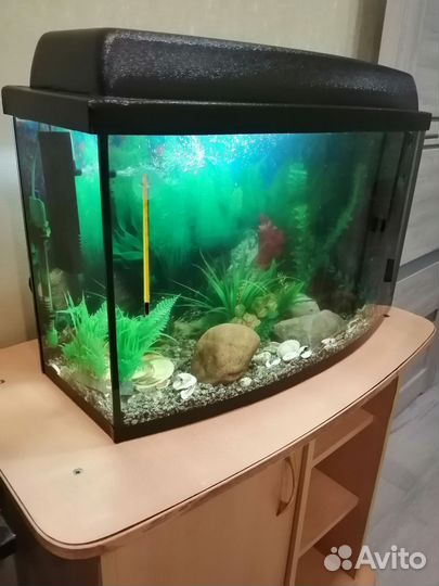 Аквариум панорамный 50л