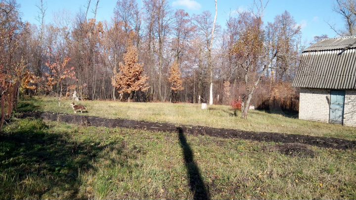 Дача 20 м² на участке 5 сот.