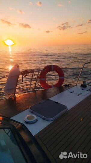 Морская прогулка за китами Териберка