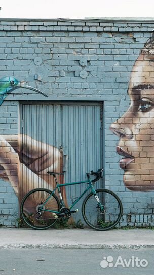 Покрышки Schwalbe G-One Ultrabite Green limited