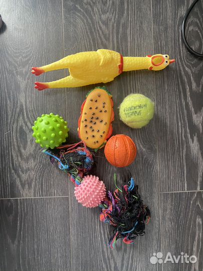 Набор игрушек для собак