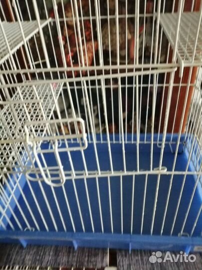 Клетка и переноска