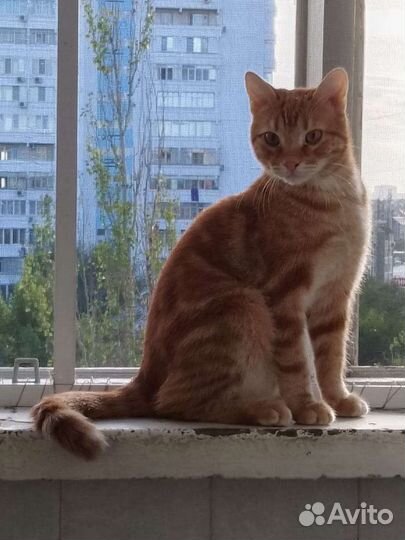 Помогите,не справляюсь