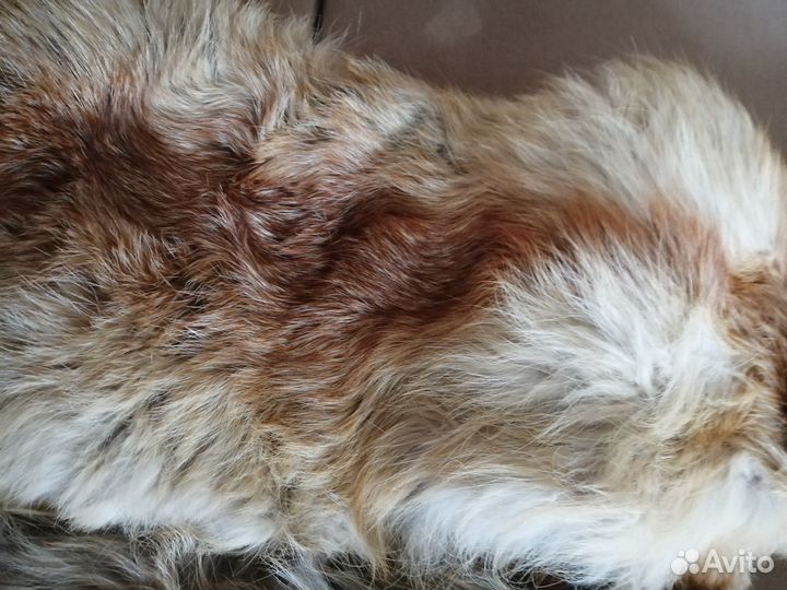 Шкурки лисы