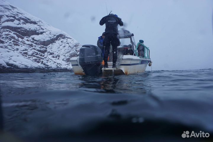 Гастро туры