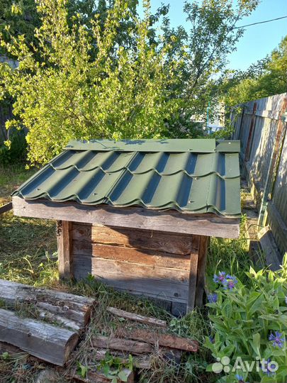 Собачья будка