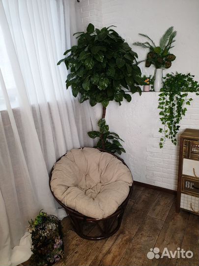 Фотостудия в аренду