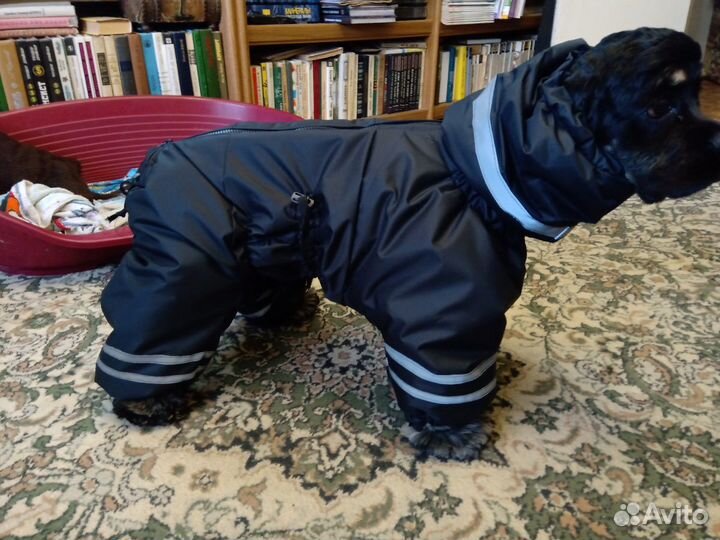Зимний комбинезон на синтепоне