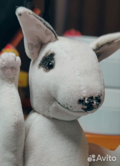 Бультерьер