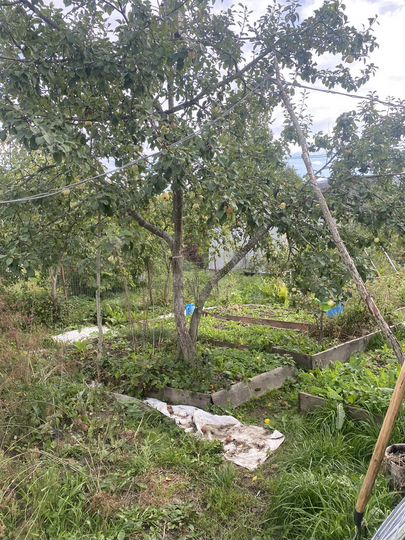 Дом 39,7 м² на участке 17,6 сот.