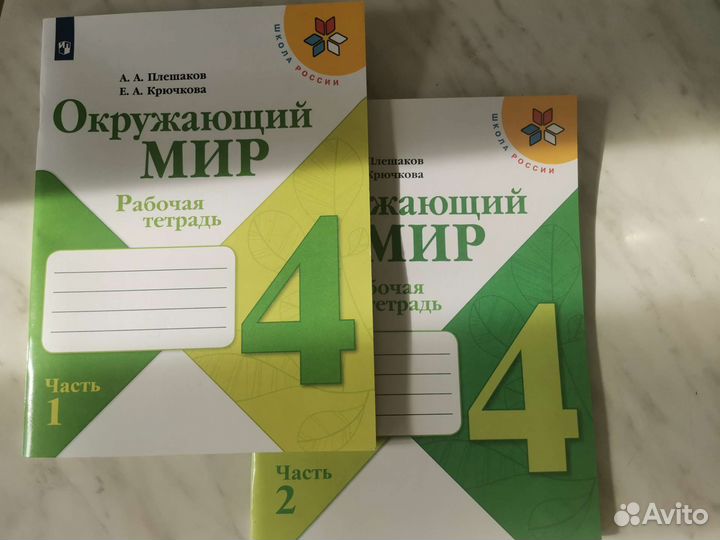 Рабочая тетрадь по окружающему миру в двух частях