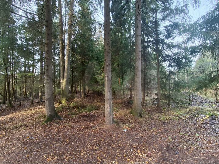 Участок 14 сот. (ИЖС)