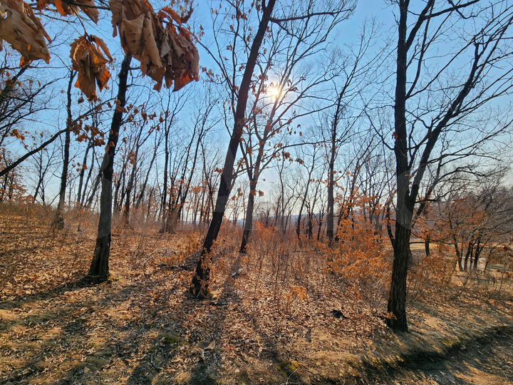 Участок 11 сот. (СНТ, ДНП)