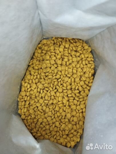 Корм для собак