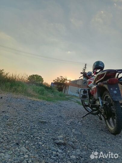 Альфа рх 7