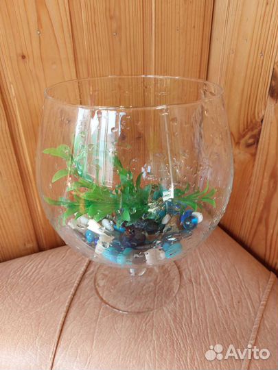 Аквариум комплект и корм