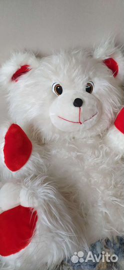 Медведь большой