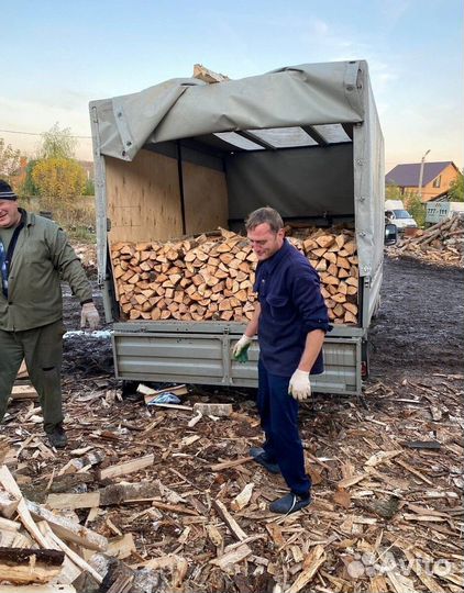 Дрова березовые колотые