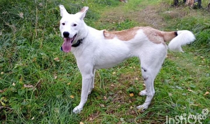 Девочка Пыжума