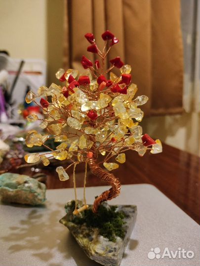 Каменное дерево