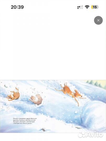 Книга Первый снег