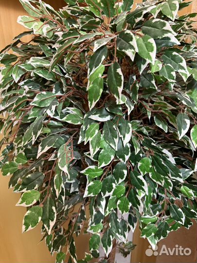 Искусственные цветы