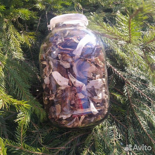 Сушенные грибы