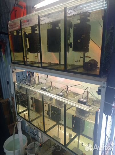 Аквариумная стойка + 2 аквариума