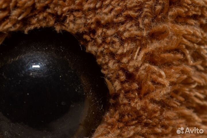 Canon 100mm 2.8 macro версия 1 отличный макро