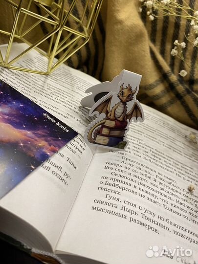 Магнитные закладки