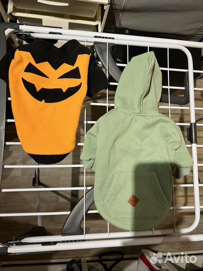 Одежда, рулетка-поводок и шлейка для собак