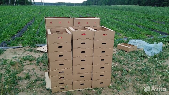 Тара картонная