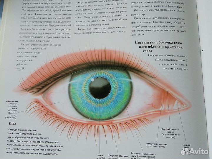 Атлас энциклопедический человеческого тела