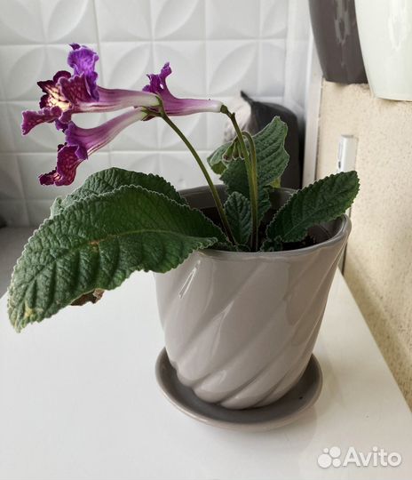 Кашпо для цветов с поддоном